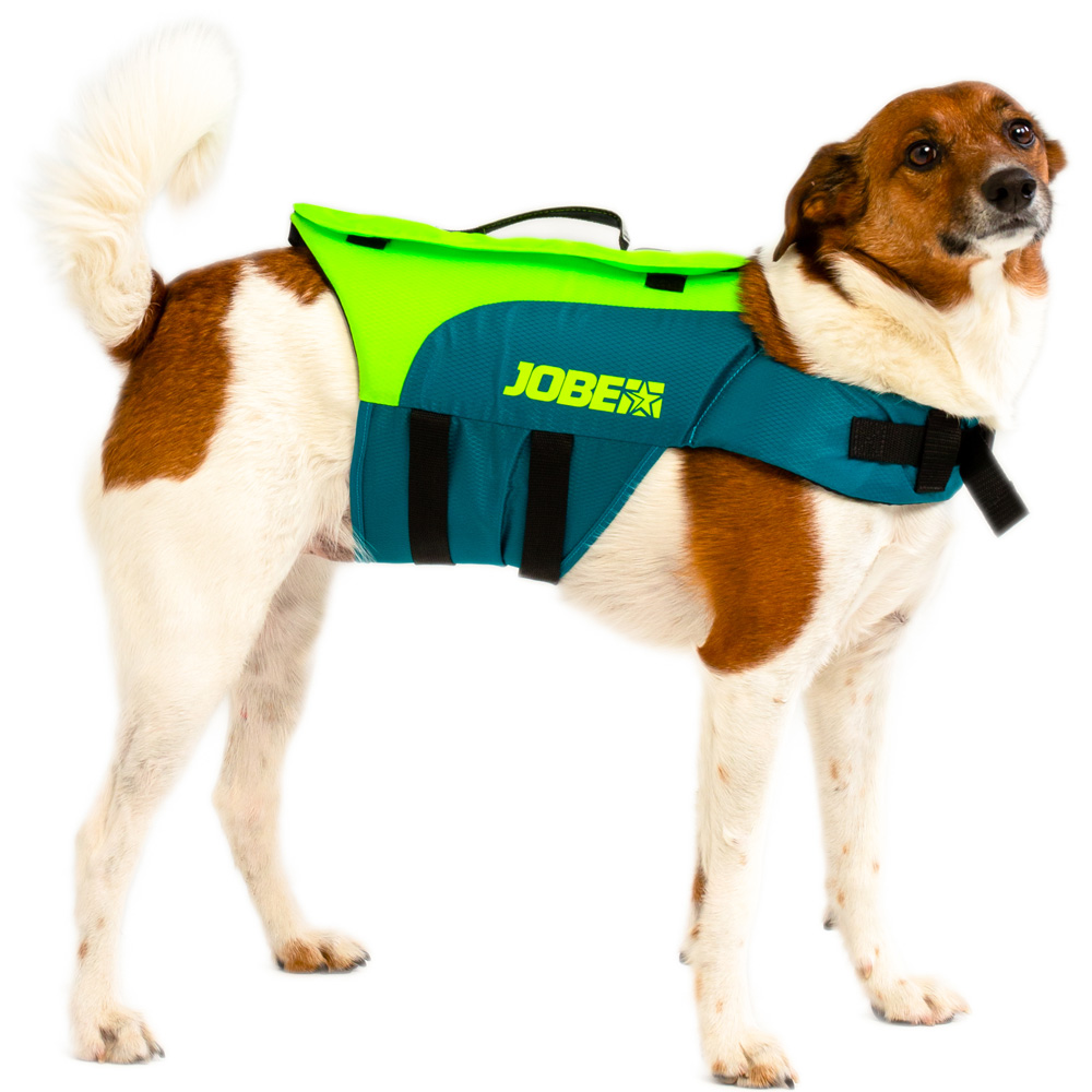 gilet de sauvetage 50N chien Lime teal