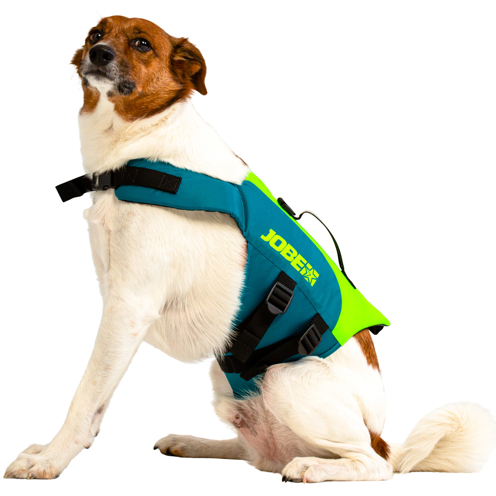 gilet de sauvetage 50N chien Lime teal